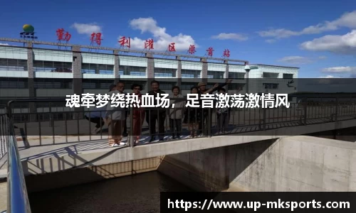 mk体育APP
