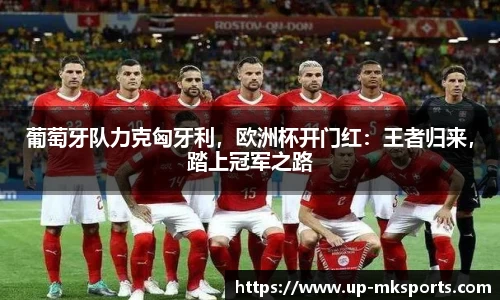 mk体育APP