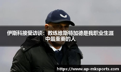 mk体育
