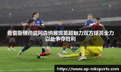 mk体育官网