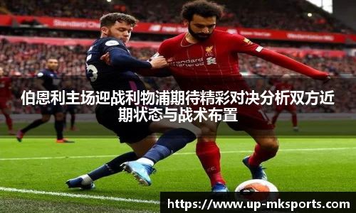 mk体育官网
