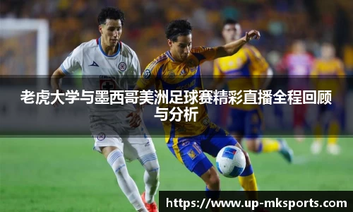 mk体育官网