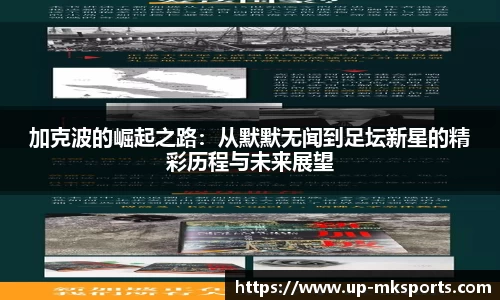 mk体育官网