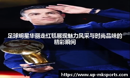 mk体育APP